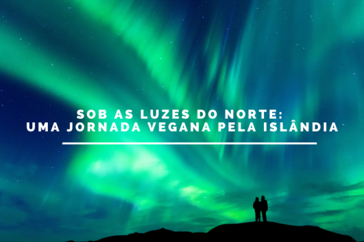 Sob as Luzes do Norte: Uma Jornada Vegana pela Islândia