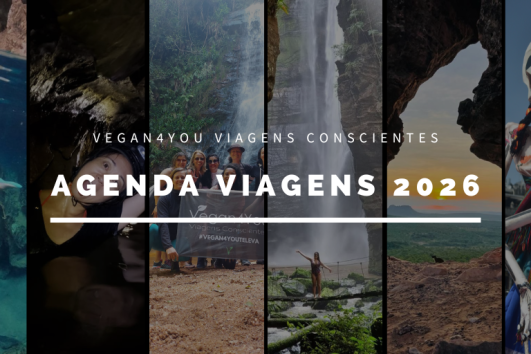 Calendário de viagens 2026